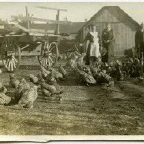 4b Stockdale - 003 004 C - Unidentified & Buildings